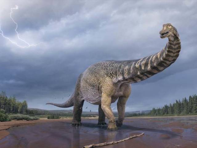 New Dinosaur Species Announced