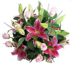 Australia 39 S Best Florist Quality Gift Baskets Hampers And Enjoy Free Delivery To Nz Australia And The Uk We Trust You 39 Ll Ping For Gifts Online With Flying Flowers