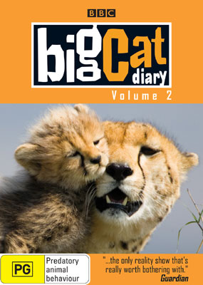 the big kitty by claire donally
