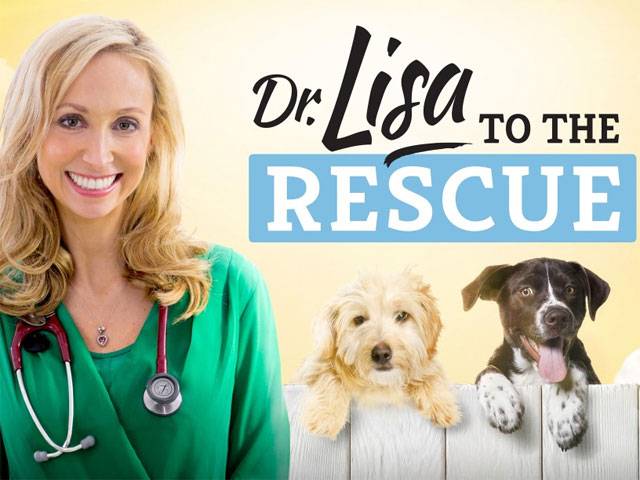 Dr Lisa to the Rescue Interview