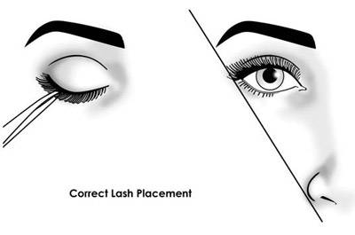 placement lash correct lashes false applying