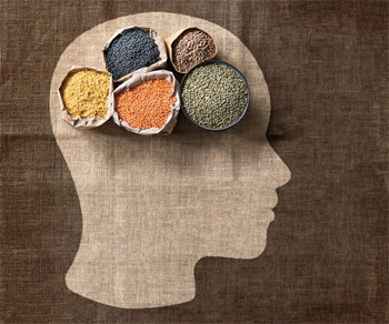 10 Brain Foods Everyone Should be Eating