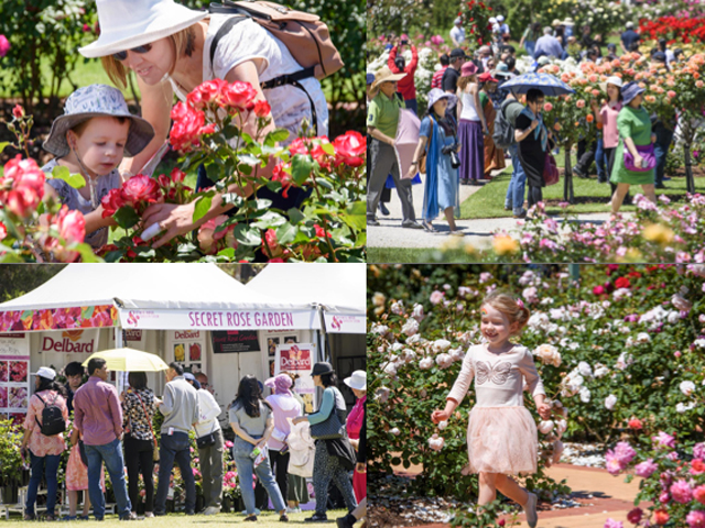 State Rose & Garden Show 2019 | Girl.com.au