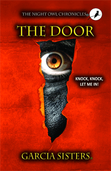 The Night Owl Chronicles: The Door