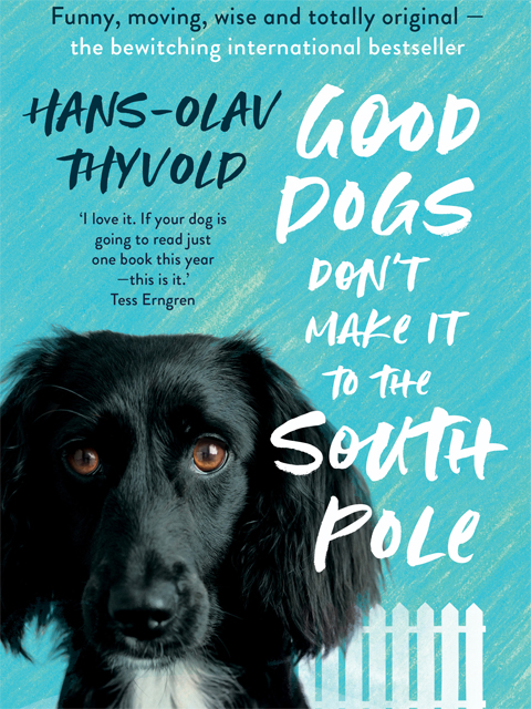 Good Dogs Don't Make it to the South Pole